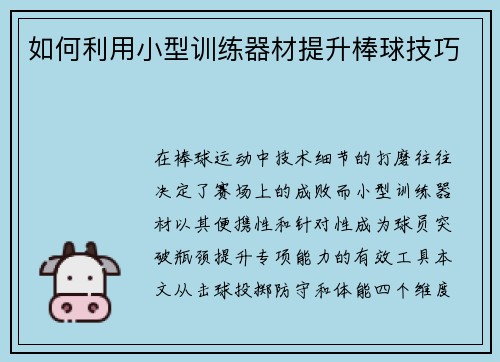 如何利用小型训练器材提升棒球技巧